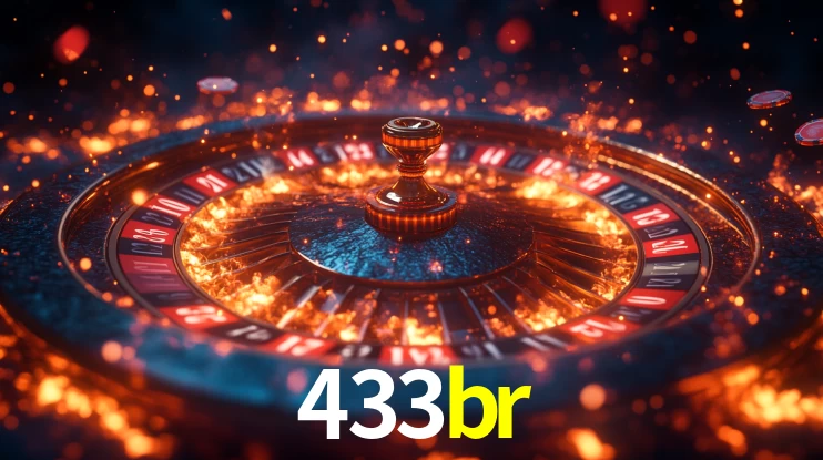 Premium Interface 433br